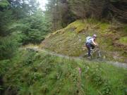 Mountain Biking/Wales/Betws-Y-Coed/Penmachno Trail/DSC08332