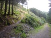Mountain Biking/Wales/Betws-Y-Coed/Penmachno Trail/DSC08344