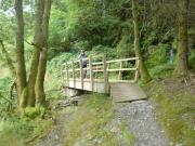 Mountain Biking/Wales/Betws-Y-Coed/Penmachno Trail/DSC08355