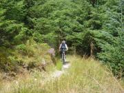 Mountain Biking/Wales/Betws-Y-Coed/Penmachno Trail/DSC08370