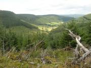 Mountain Biking/Wales/Betws-Y-Coed/Penmachno Trail/DSC08371