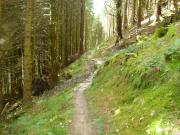 Mountain Biking/Wales/Betws-Y-Coed/Penmachno Trail/DSC08403