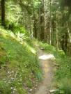 Mountain Biking/Wales/Betws-Y-Coed/Penmachno Trail/DSC08404