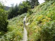 Mountain Biking/Wales/Betws-Y-Coed/Penmachno Trail/DSC08408
