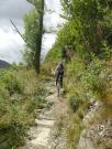 Mountain Biking/Wales/Betws-Y-Coed/Penmachno Trail/DSC08419