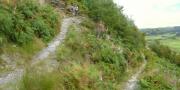 Mountain Biking/Wales/Betws-Y-Coed/Penmachno Trail/Pano10
