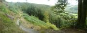 Mountain Biking/Wales/Betws-Y-Coed/Penmachno Trail/Pano5