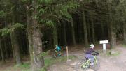 Mountain Biking/Wales/Bike Park Wales/Terrys Belly/L0170722