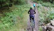 Mountain Biking/Wales/Bike Park Wales/Terrys Belly/L0170756