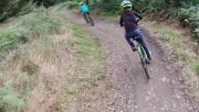 Mountain Biking/Wales/Bike Park Wales/Terrys Belly/L0170770