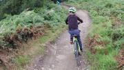 Mountain Biking/Wales/Bike Park Wales/Terrys Belly/L0180789