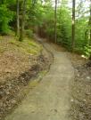 Mountain Biking/Wales/Brechfa Forest/Derwen Trail/DSC01257