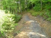 Mountain Biking/Wales/Brechfa Forest/Derwen Trail/DSC01258
