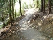 Mountain Biking/Wales/Brechfa Forest/Derwen Trail/DSC01269