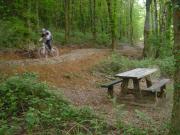 Mountain Biking/Wales/Brechfa Forest/Derwen Trail/DSC01270