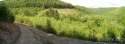 Mountain Biking/Wales/Brechfa Forest/Derwen Trail/Pano - 99 DSC01260