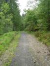 Mountain Biking/Wales/Brechfa Forest/Gorlech Trail/DSC01209