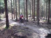 Mountain Biking/Wales/Brechfa Forest/Gorlech Trail/DSC01212