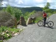 Mountain Biking/Wales/Brechfa Forest/Gorlech Trail/DSC01231