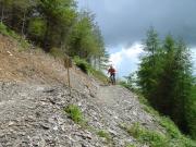 Mountain Biking/Wales/Brechfa Forest/Gorlech Trail/DSC01232