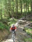 Mountain Biking/Wales/Brechfa Forest/Gorlech Trail/DSC01240