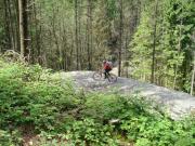 Mountain Biking/Wales/Brechfa Forest/Gorlech Trail/DSC01241