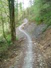 Mountain Biking/Wales/Brechfa Forest/Gorlech Trail/DSC01243