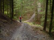 Mountain Biking/Wales/Brechfa Forest/Gorlech Trail/DSC01245