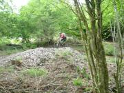 Mountain Biking/Wales/Brechfa Forest/Gorlech Trail/DSC01249