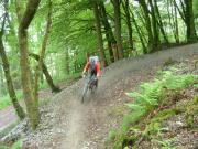 Mountain Biking/Wales/Brechfa Forest/Gorlech Trail/DSC01250