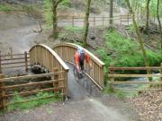 Mountain Biking/Wales/Brechfa Forest/Gorlech Trail/DSC01255