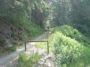 Mountain Biking/Wales/Brechfa Forest/Gorlech Trail/DSC01386