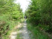 Mountain Biking/Wales/Brechfa Forest/Gorlech Trail/DSC01389