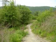 Mountain Biking/Wales/Brechfa Forest/Gorlech Trail/DSC01393