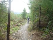 Mountain Biking/Wales/Brechfa Forest/Gorlech Trail/DSC08732