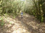 Mountain Biking/Wales/Brechfa Forest/Gorlech Trail/DSC08733