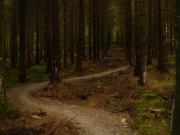 Mountain Biking/Wales/Brechfa Forest/Gorlech Trail/DSC08736