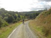 Mountain Biking/Wales/Brechfa Forest/Gorlech Trail/DSC08737