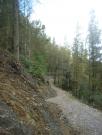 Mountain Biking/Wales/Brechfa Forest/Gorlech Trail/DSC08744