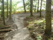 Mountain Biking/Wales/Brechfa Forest/Gorlech Trail/DSC08745