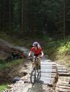 Mountain Biking/Wales/Brechfa Forest/Gorlech Trail/DSCF0256