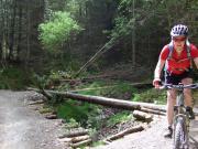 Mountain Biking/Wales/Brechfa Forest/Gorlech Trail/DSCF0258