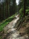 Mountain Biking/Wales/Brechfa Forest/Gorlech Trail/DSCF0264