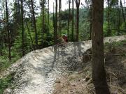 Mountain Biking/Wales/Brechfa Forest/Gorlech Trail/DSCF0266