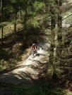 Mountain Biking/Wales/Brechfa Forest/Gorlech Trail/DSCF0271