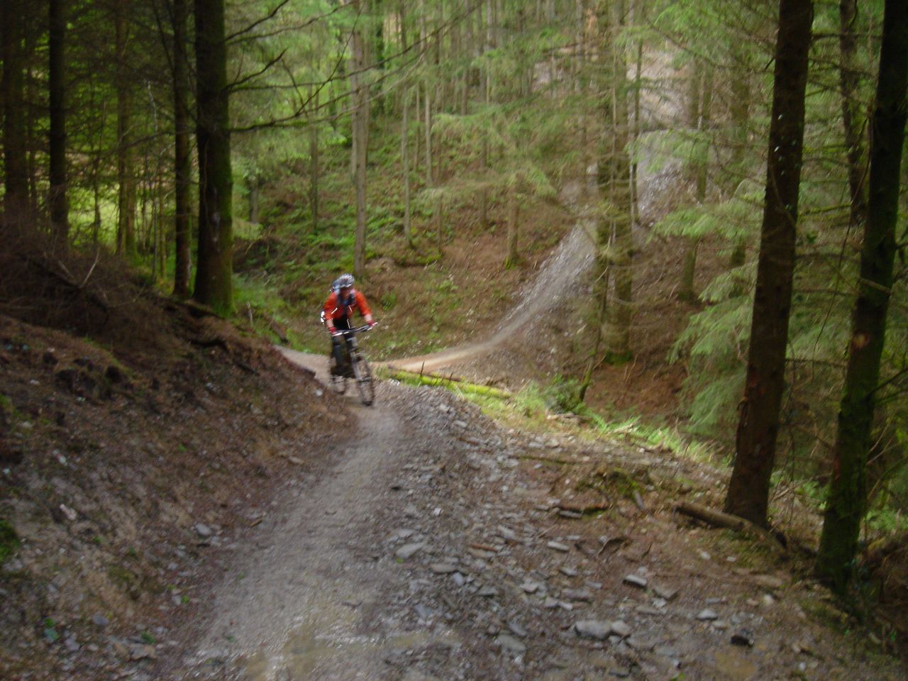 brechfa forest mountain biking