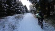 Mountain Biking/Wales/Brechfa Forest/DSC00038