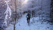 Mountain Biking/Wales/Brechfa Forest/DSC00045