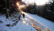Mountain Biking/Wales/Brechfa Forest/DSC00053