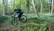 Mountain Biking/Wales/Cardiff/DSC01134